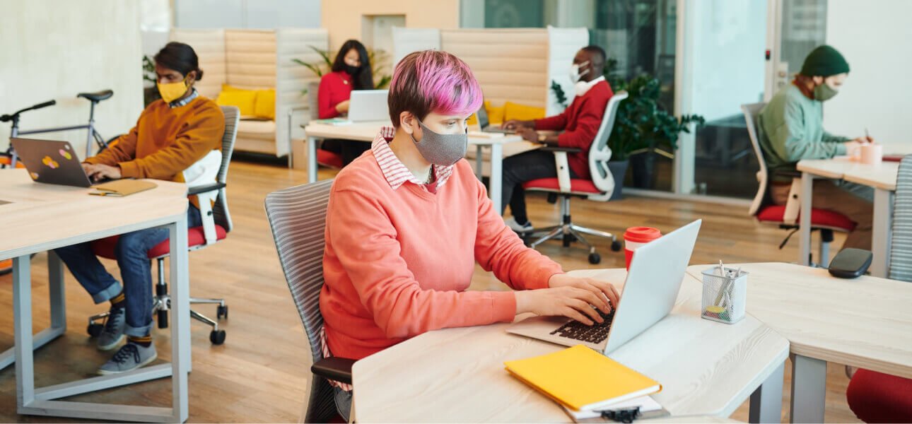 Custom Software Development